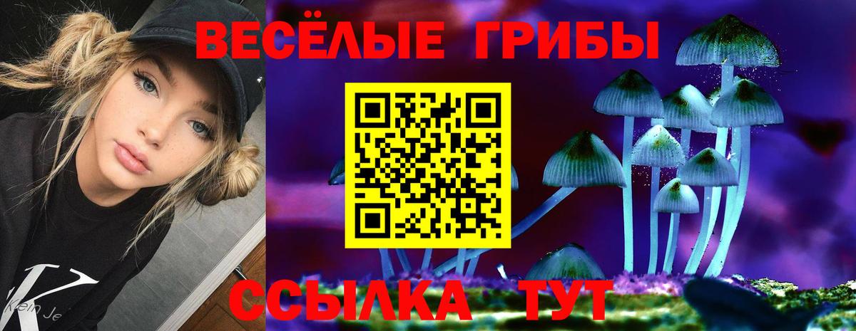 Псилоцибиновые грибы Psilocybine cubensis Красногорск