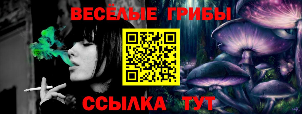 Красногорск  Псилоцибиновые грибы Psilocybe  Вход с VPN 